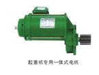 起重機(jī)專(zhuān)用一體式電機(jī)1